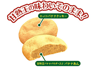 �Ïn���o�i�i�N�b�L�[